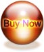 Purchase Wizardbrush