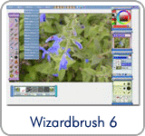 Wizardbrush Download