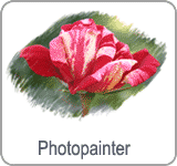 Multi-layered image editor